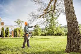  Washington, WV Tree Removal Pros